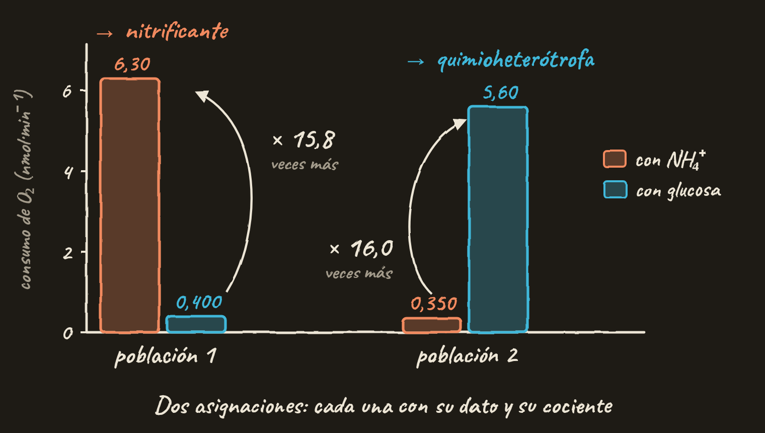 Gráfico de barras dibujado a mano. Población 1: consumo de O₂ de 6,30 nmol por minuto con amonio y 0,400 con glucosa, 15,8 veces más con amonio: es la nitrificante. Población 2: 0,350 con amonio y 5,60 con glucosa, 16,0 veces más con glucosa: es la quimioheterótrofa.