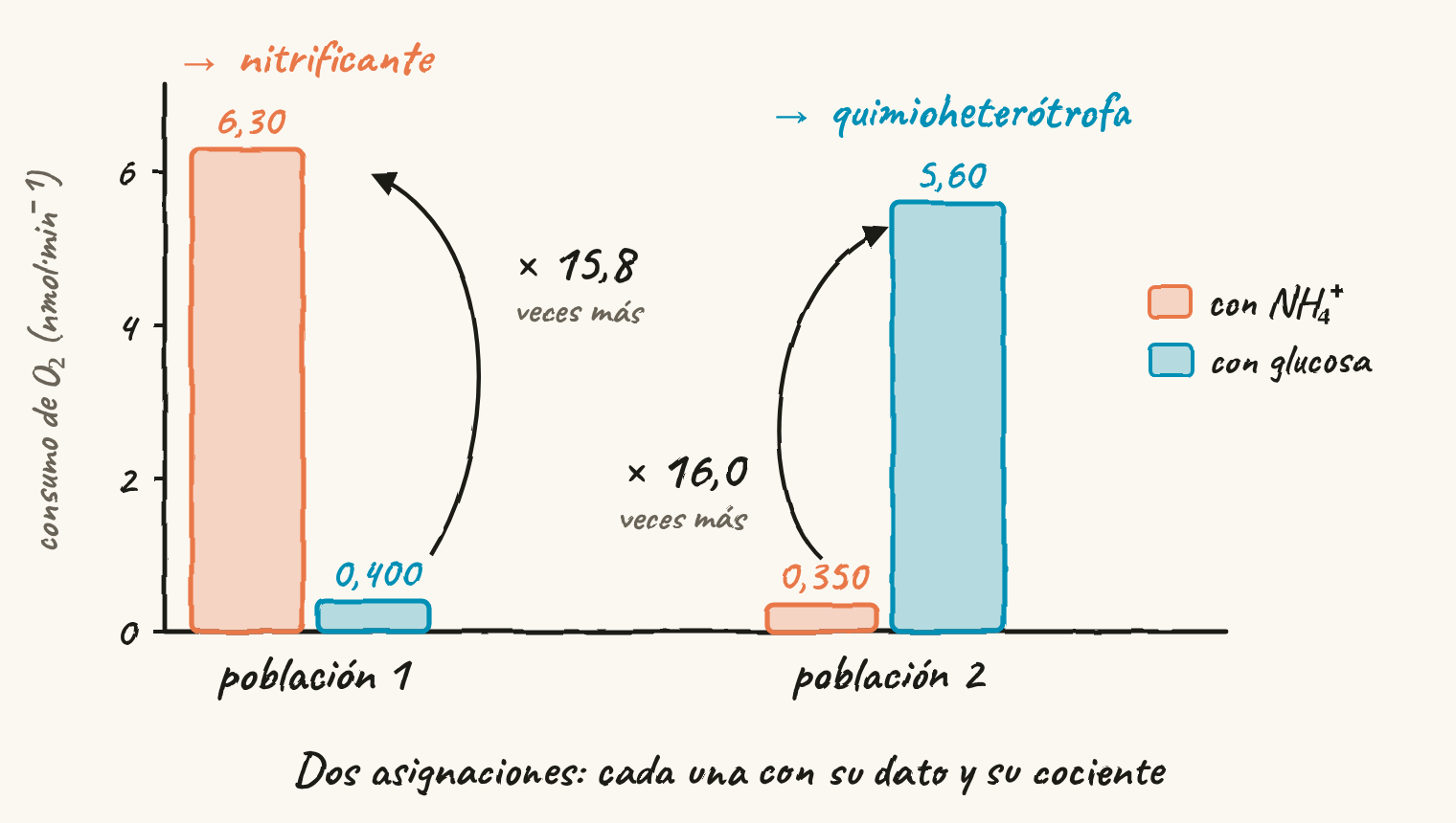 Gráfico de barras dibujado a mano. Población 1: consumo de O₂ de 6,30 nmol por minuto con amonio y 0,400 con glucosa, 15,8 veces más con amonio: es la nitrificante. Población 2: 0,350 con amonio y 5,60 con glucosa, 16,0 veces más con glucosa: es la quimioheterótrofa.