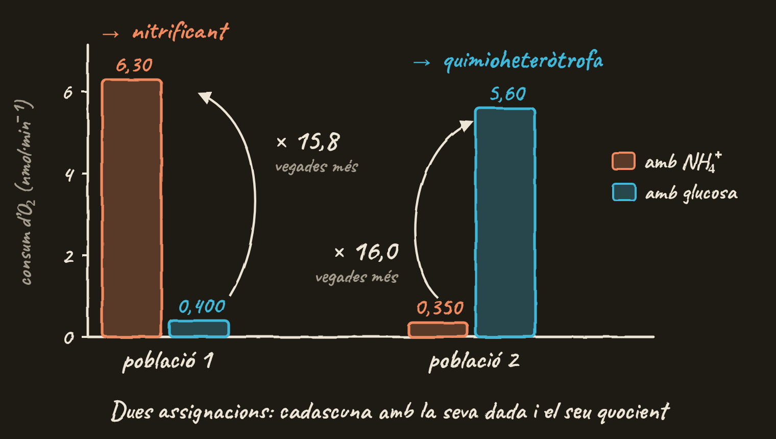 Gràfic de barres dibuixat a mà. Població 1: consum d’O₂ de 6,30 nmol per minut amb amoni i 0,400 amb glucosa, 15,8 vegades més amb amoni: és la nitrificant. Població 2: 0,350 amb amoni i 5,60 amb glucosa, 16,0 vegades més amb glucosa: és la quimioheteròtrofa.