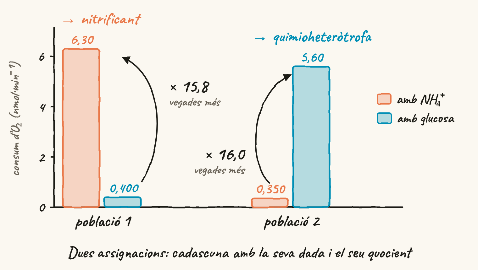 Gràfic de barres dibuixat a mà. Població 1: consum d’O₂ de 6,30 nmol per minut amb amoni i 0,400 amb glucosa, 15,8 vegades més amb amoni: és la nitrificant. Població 2: 0,350 amb amoni i 5,60 amb glucosa, 16,0 vegades més amb glucosa: és la quimioheteròtrofa.