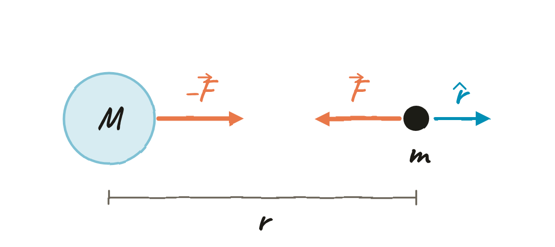Dues masses, M i m, separades una distància r. Sobre m, una fletxa F cap a M; sobre M, una fletxa −F igual cap a m; i el vector unitari r̂ a m, apuntant en sentit contrari a M.