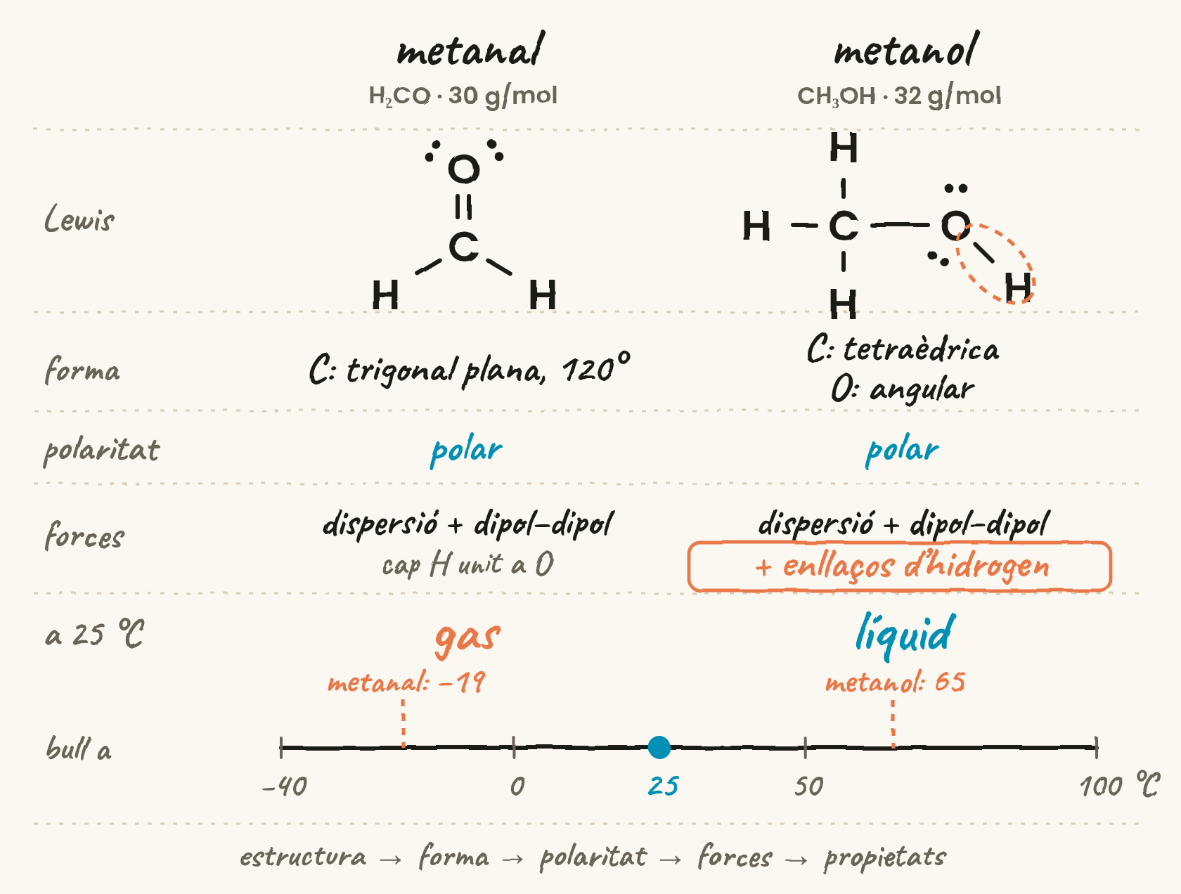 Dues columnes, metanal i metanol, amb l’estructura de Lewis, la geometria, la polaritat, les forces intermoleculars i el punt d’ebullició de cadascun. El metanol afegeix enllaços d’hidrogen i és líquid a 25 °C; el metanal és gas.